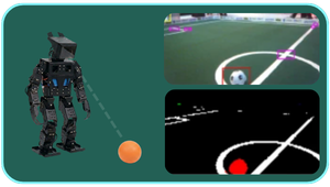 ANIS robot tracking a ball