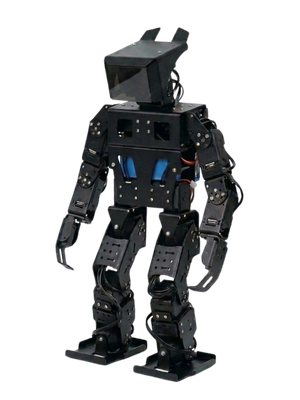 ANIS humanoid robot